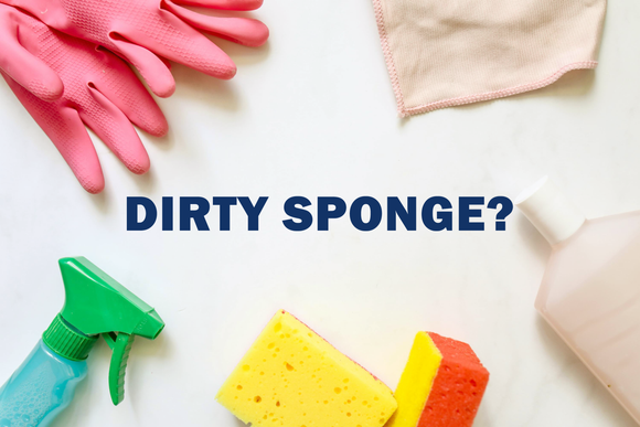 Is Your Kitchen Sponge Dirty?